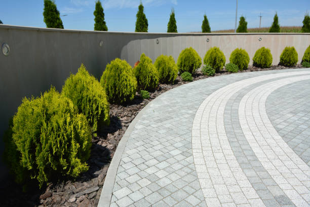 Best Driveway Repair Near Me  in Yosemite Valley, CA